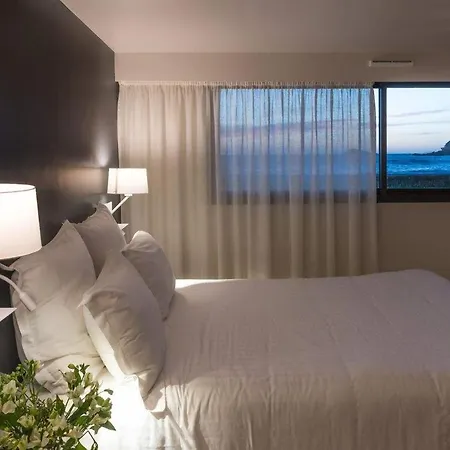 Plein Large 3* Bandol