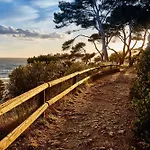 Plein Large 3* Bandol