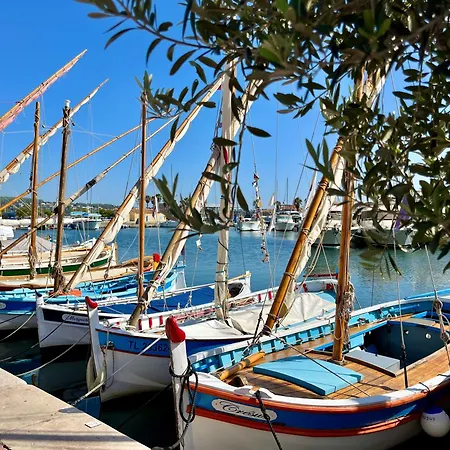 Plein Large Bandol