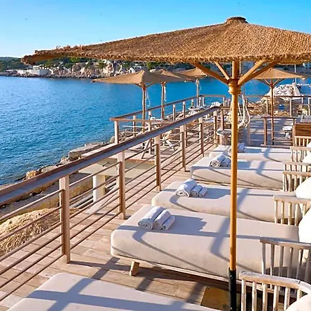 Plein Large Bandol