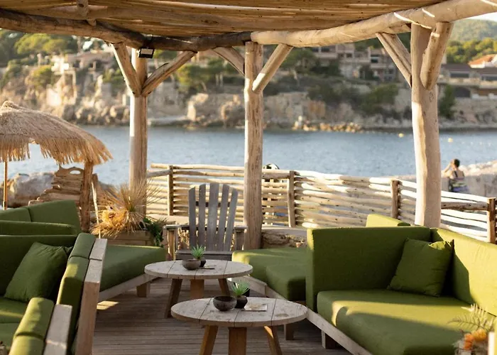 Plein Large 3* Bandol